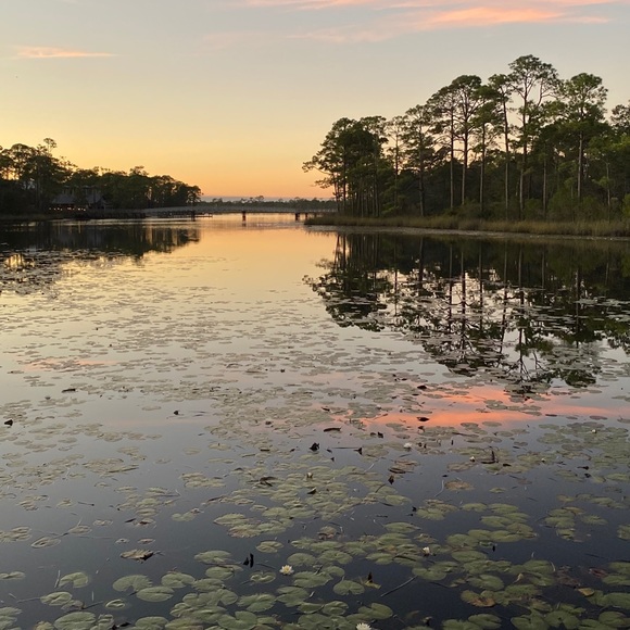 Meet your Posher, Meghan - Picture 1 of 1